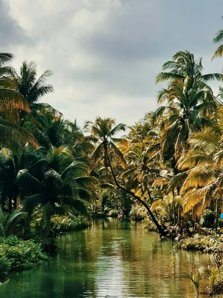 Hospitor : Stopover Sri Lanka : Kandy : Nuwara Eliya : Bentota : Colombo (1, 0, 0, 0)