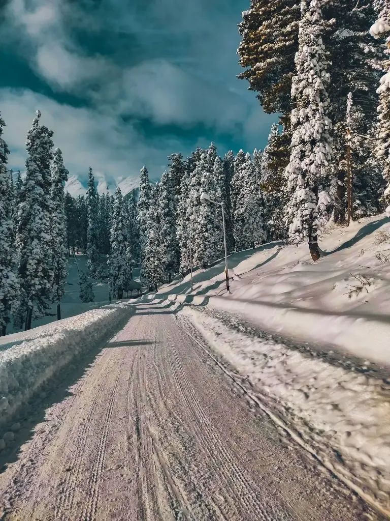 Hospitor : The Pines and Pools of Kashmir : Srinagar : Pahalgam : Gulmarg : India (1, 0, 0, 0)