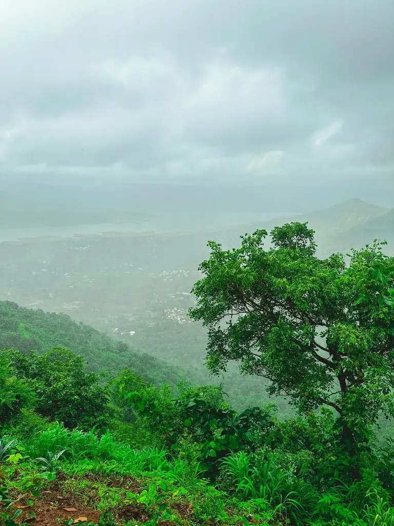 Hospitor : Just Mahabaleshwar : Maharashtra : India (1, 0, 0, 0)