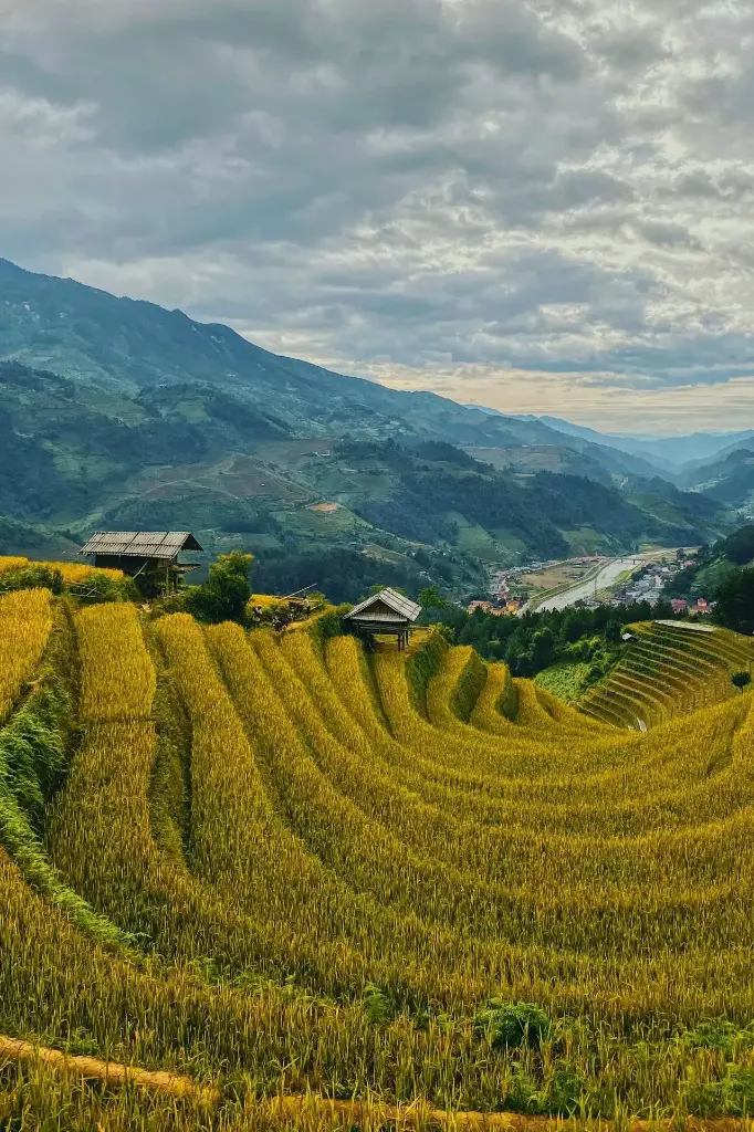 Hospitor : Experience Luxurious Vietnam (1, 0, 0, 0)