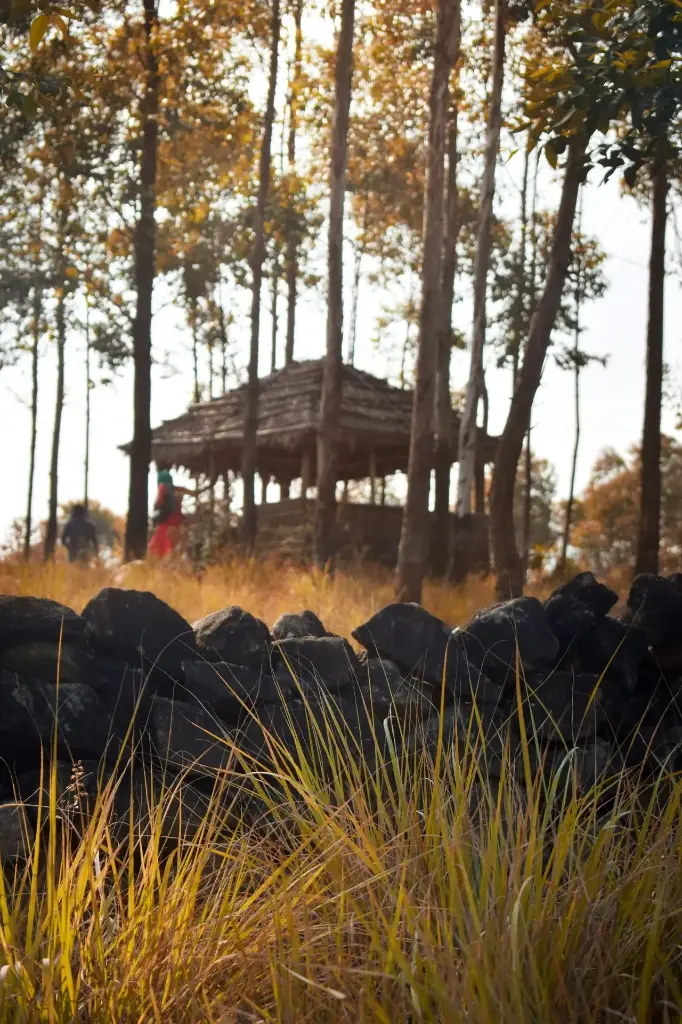 Hospitor : Premium Flavours of Kerela : Kochi : Munnar : Thekkady : Kumarakom : Kovalam : India (1, 0, 0, 0)