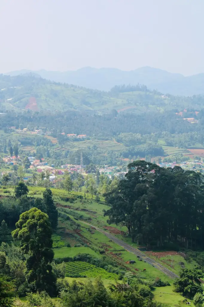 Hospitor : Deluxe of South: Ooty : Kodaikanal : Rameswaram : Madurai : India (1, 0, 0, 0)