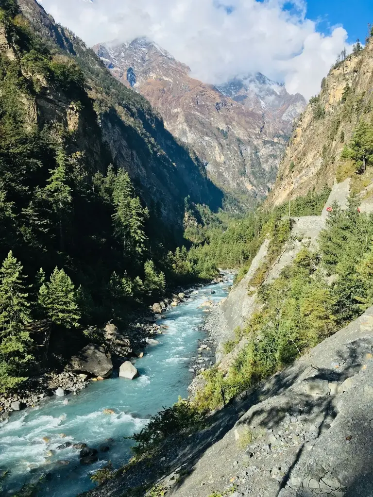 Hospitor : Deluxe : Zen in the Himalayas (1, 0, 0, 0)