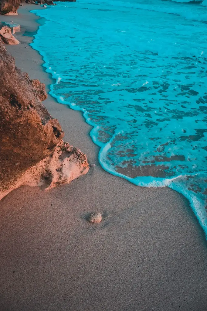 Hospitor : Fiji Whispers & Deluxe Spark : Singapore