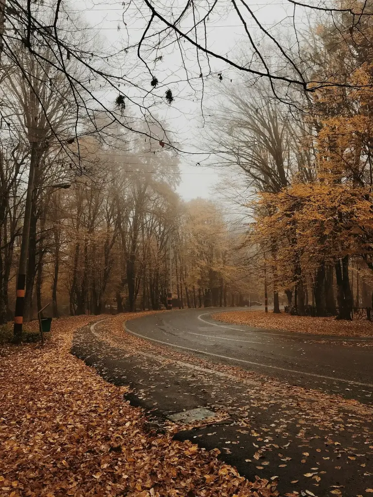 Hospitor : Whispers of Iran