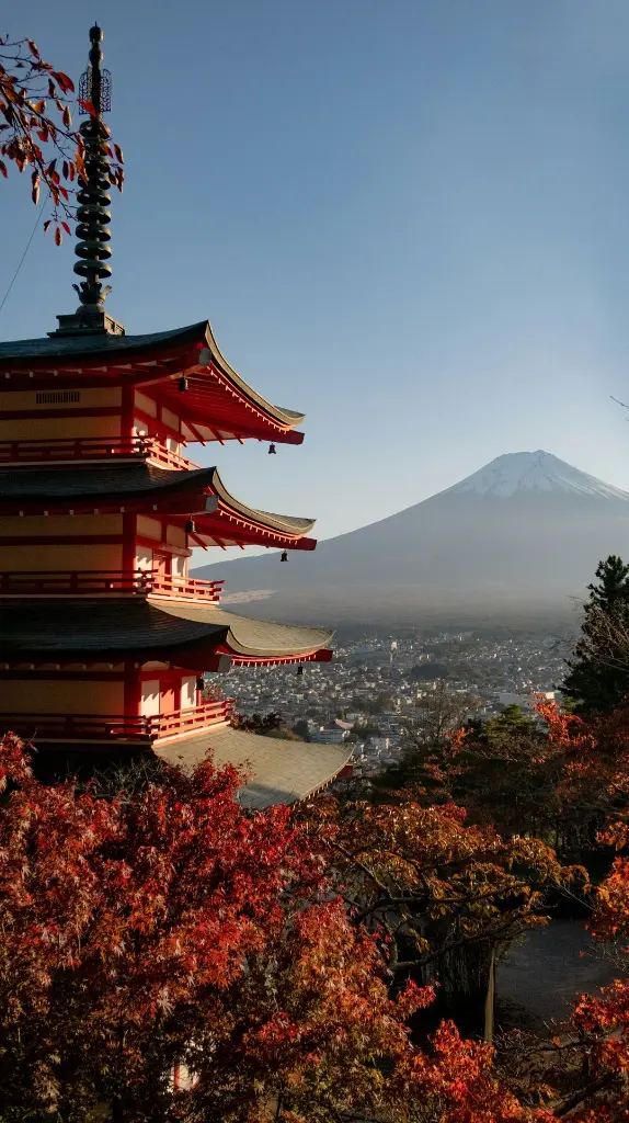 Hospitor : From Neon to Nature: Tokyo to Fuji : japan (1, 0, 0, 0)